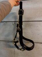 LeMieux leren halster maat cob, Dieren en Toebehoren, Ophalen of Verzenden, Zo goed als nieuw, Overige soorten