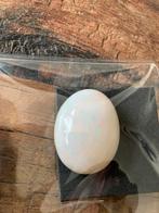 Prachtige witte opaal 48.79 ct, Ophalen, Nieuw