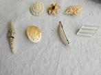Diverse broches en 1 haarspeld, Ophalen of Verzenden, Overige kleuren, Overige materialen