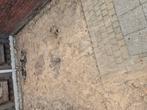 Zand, gratis af te halen 310cm x 280cm x 20cm, Tuin en Terras, Zand, Ophalen, Gebruikt, Ophoogzand