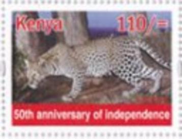 KENIA 20 - Dieren: zoogdieren (panter) beschikbaar voor biedingen