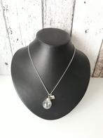 Zilverkleurige ketting met wish en paardenbloempluisjes, Sieraden, Tassen en Uiterlijk, Kettingen, Nieuw, Overige materialen, Ophalen of Verzenden