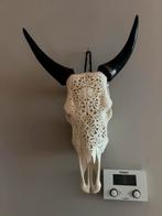 Echte Buffel schedel gegraveerd, Huis en Inrichting, Ophalen, Nieuw