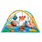 Tiny Love Babygym Gymini Under the Sea, Kinderen en Baby's, Speelgoed | Babyspeelgoed, Gebruikt, Ophalen of Verzenden, Babygym