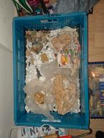 Bariet, azuriet, malachiet, Verzamelen, Mineralen en Fossielen, Ophalen of Verzenden, Mineraal