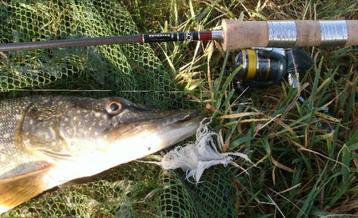 Serie T snoekstreamers voor vlieghengel en lichte spinhengel beschikbaar voor biedingen
