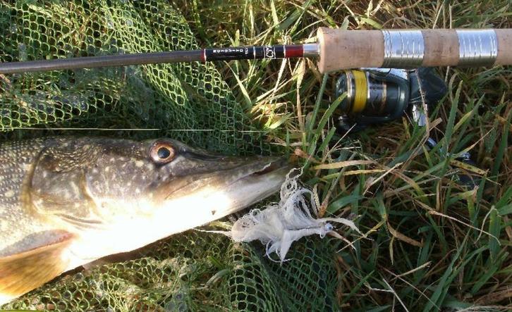 Serie T snoekstreamers voor vlieghengel en lichte spinhengel, Watersport en Boten, Hengelsport | Roofvissen, Nieuw, Complete set