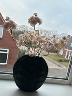 Richmond Interiors schildpad vaas, Zwart, Ophalen of Verzenden, Minder dan 50 cm, Glas