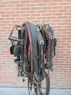 Meerdere Tuigen, Enkelspan & Dubbelspan, Dieren en Toebehoren, Paarden en Pony's | Hoofdstellen en Tuigage, Ophalen of Verzenden