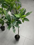 Kunst Plant Geldboom 105cm, 100 tot 150 cm, Overige soorten, In pot, Groene kamerplant