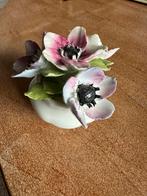 Royal Albert bloemenvaasje anemones, Ophalen of Verzenden