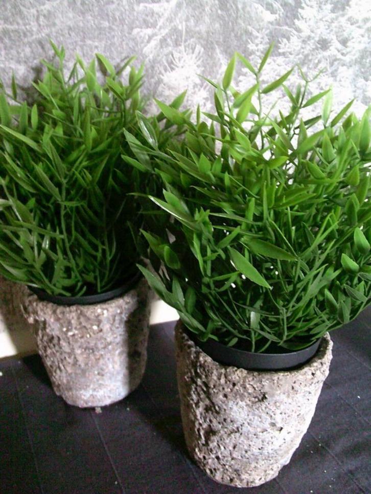 2 robuuste betonlook planten potjes voor binnen, Tuin en Terras, Bloempotten, Gebruikt, Overige materialen, Binnen, Minder dan 40 cm