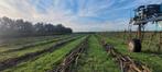 Appelhout stammen, Dieren en Toebehoren