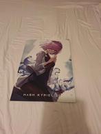 Mash Kyrielight Displate - Fate Anime, Antiek en Kunst, Ophalen of Verzenden