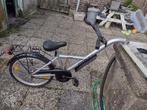 Shuttle Xtension Raket aanhangfiets compleet, Fietsen en Brommers, Fietsaccessoires | Aanhangers en Karren, Ophalen of Verzenden