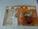 Tijdschrift Vogels van de Vogelbescherming 5 edities 2025, Boeken, Tijdschriften en Kranten, Ophalen of Verzenden, Zo goed als nieuw
