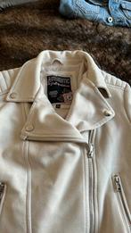 Merk Authentic, Full of Attitude. Jas. Maat 152. Nieuw., Meisje, Ophalen of Verzenden, Zo goed als nieuw, Authentic