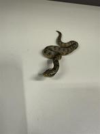Schleich slang figuur - Wildlife 2016 D-73527, Ophalen of Verzenden, Zo goed als nieuw, Nvt, Nvt