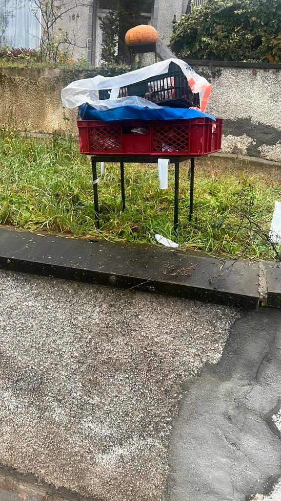 Verse Walnoten Te Koop, Diversen, Levensmiddelen, Ophalen of Verzenden