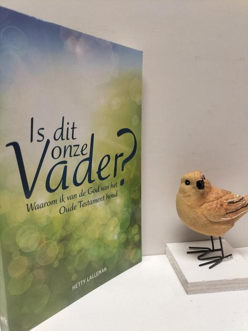 Lalleman, Hetty; Is dit onze Vader?, Boeken, Godsdienst en Theologie, Gelezen, Christendom | Protestants, Ophalen of Verzenden