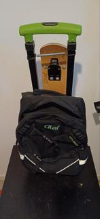 Olaf stepkoffet te koop voor maar 20 euro., Ophalen of Verzenden, Groen, 30 cm of meer, Minder dan 35 cm