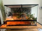 Terrarium, Dieren en Toebehoren, Reptielen en Amfibieën | Toebehoren, Ophalen, Zo goed als nieuw, Terrarium of Paludarium
