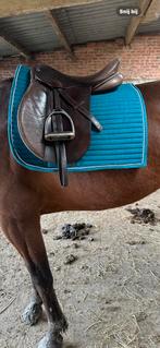 groen/blauw dressuur dekje maat full, Dieren en Toebehoren, Paarden en Pony's | Zadels, Ophalen of Verzenden, Zo goed als nieuw