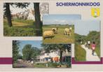 SCHIERMONNIKOOG Langestreek Hotel Schapen Fietspad, Gelopen, Waddeneilanden, Verzenden, 1980 tot heden