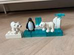 Duplo ijsbeer en pinguïn, Ophalen, Duplo