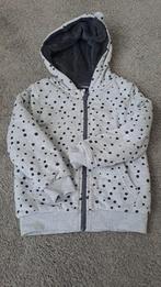 Dik grijs vest - maat 110, Ophalen of Verzenden, Zo goed als nieuw, Meisje, Trui of Vest