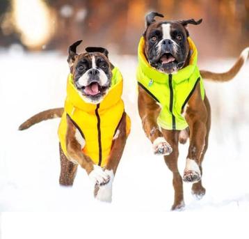 AiryVest Hondenjas Omkeerbaar M40 Lime-Yellow -50% OFF!!! beschikbaar voor biedingen