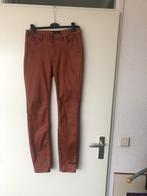 Expresso broek met lichte glans mt.36, Kleding | Dames, Broeken en Pantalons, Overige kleuren, Expresso, Ophalen of Verzenden