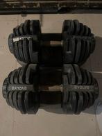 Set verstelbare dumbbells van Evolve, Ophalen, Zo goed als nieuw, Armen, Dumbbell