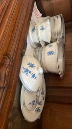 Heel servies Petrus Regout Maastricht, Antiek en Kunst, Antiek | Servies compleet, Ophalen