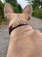 Handgemaakte honden halsbanden voor groot en klein, Nieuw, Ophalen of Verzenden, Handgemaakt