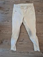 Eurostar rijbroek dames, wit, maat 40, Dieren en Toebehoren, Paardrijkleding, Ophalen, Gebruikt