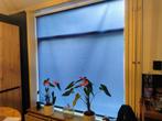 Rolgordijnen, blauw, 4 stuks, Huis en Inrichting, Stoffering | Gordijnen en Lamellen, Ophalen, Gebruikt, Blauw, 200 cm of meer