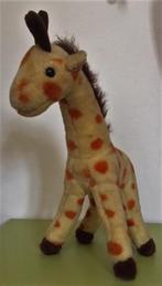 Lieve giraffe, Ophalen of Verzenden, Zo goed als nieuw, Overige typen