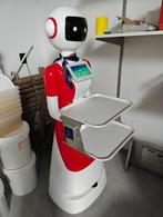 Robot bediening, Tuin en Terras, Ophalen, Zo goed als nieuw