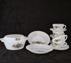 Frans arcopal servies, Ophalen of Verzenden