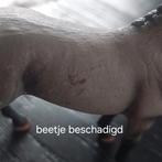 Schleich paarden, Ophalen of Verzenden, Zo goed als nieuw