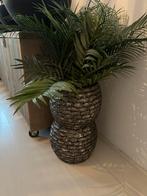Ptmd vazen bloempotten, Ophalen, Overige kleuren, Minder dan 50 cm, Glas