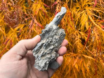 Bonsai Penjing rots ca. 4,7x5x14 beschikbaar voor biedingen