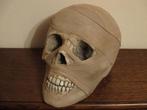 REPLICA Mummie schedel mens, gróte Mummy Skull, HANDGEMAAKT, Ophalen of Verzenden