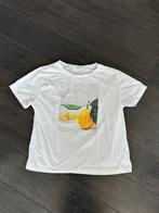 Wit t-shirt shirt top citroen fresh Mango maat L, Kleding | Dames, Maat 42/44 (L), Mango, Ophalen of Verzenden, Wit