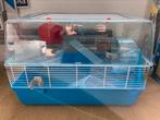 Grote hamsterkooi met toebehoren, Kooi, Gebruikt, Minder dan 75 cm, Hamster