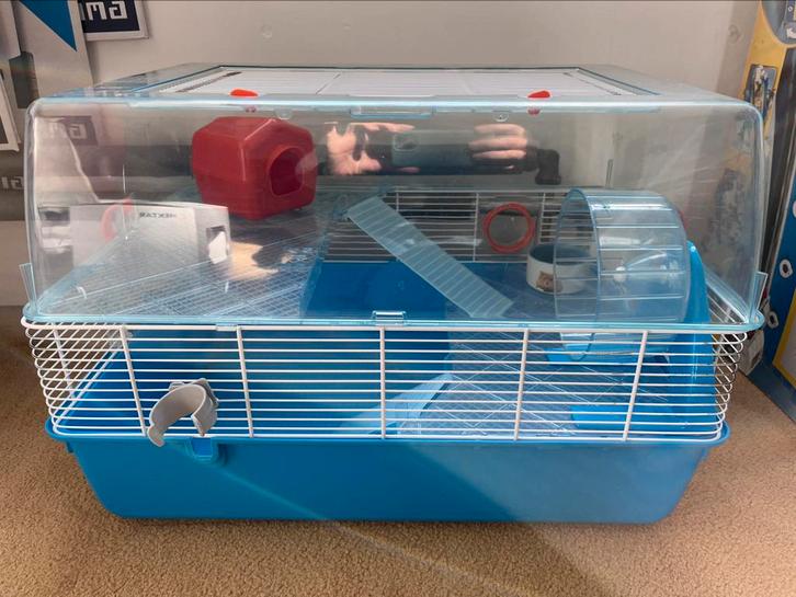 Grote hamsterkooi met toebehoren, Dieren en Toebehoren, Knaagdieren en Konijnen | Hokken en Kooien, Gebruikt, Kooi, Minder dan 60 cm