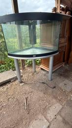 Aquarium Juwel met tafel, Dieren en Toebehoren, Vissen | Aquaria en Toebehoren, Ophalen, Gebruikt, Verlichting of Verwarming