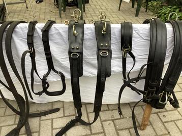 Tweespan borsttuig full beschikbaar voor biedingen
