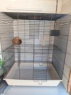 Rattenkooi, Dieren en Toebehoren, Ophalen, Gebruikt, Metaal, Overige typen